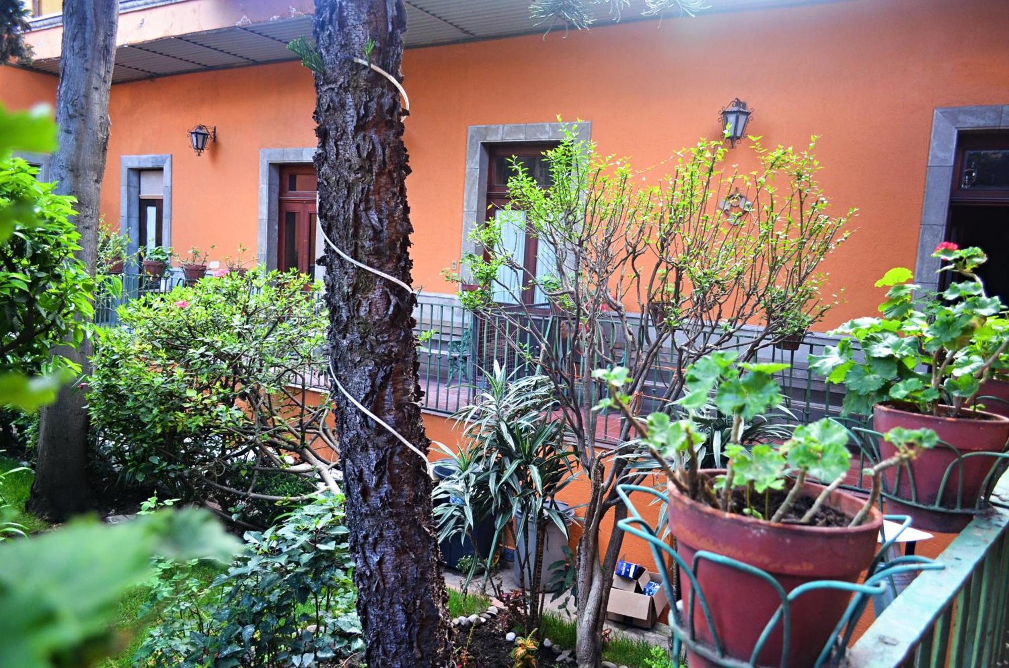 Hacienda Gobernadores Mexico-stad Buitenkant foto