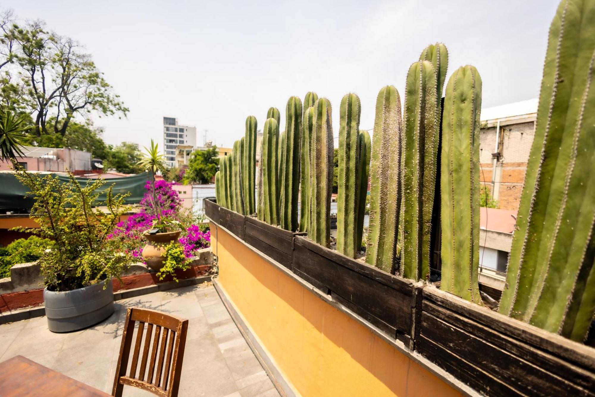 Hacienda Gobernadores Mexico-stad Buitenkant foto